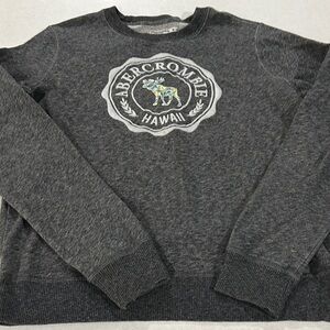 Abercrombie & Fitch Dark Gray Crewneck